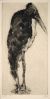 Bestandsnaam=debruycker183.jpg
Bestandsgrootte=146KiB
Afmetingen = 440x863
Datum toegevoegd = %18 %417 %2006 debruycker183.jpg
