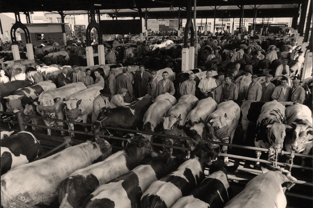 045 DE BEESTENMARKT
