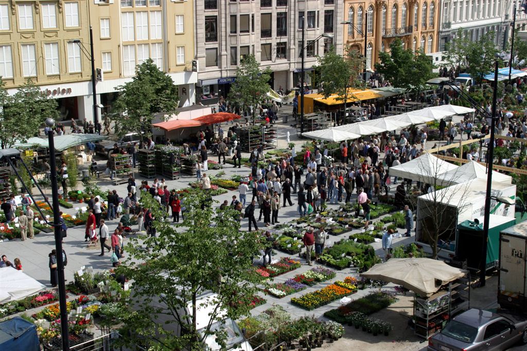 082 DE KOUTER
Bloemenmarkt op zondag
