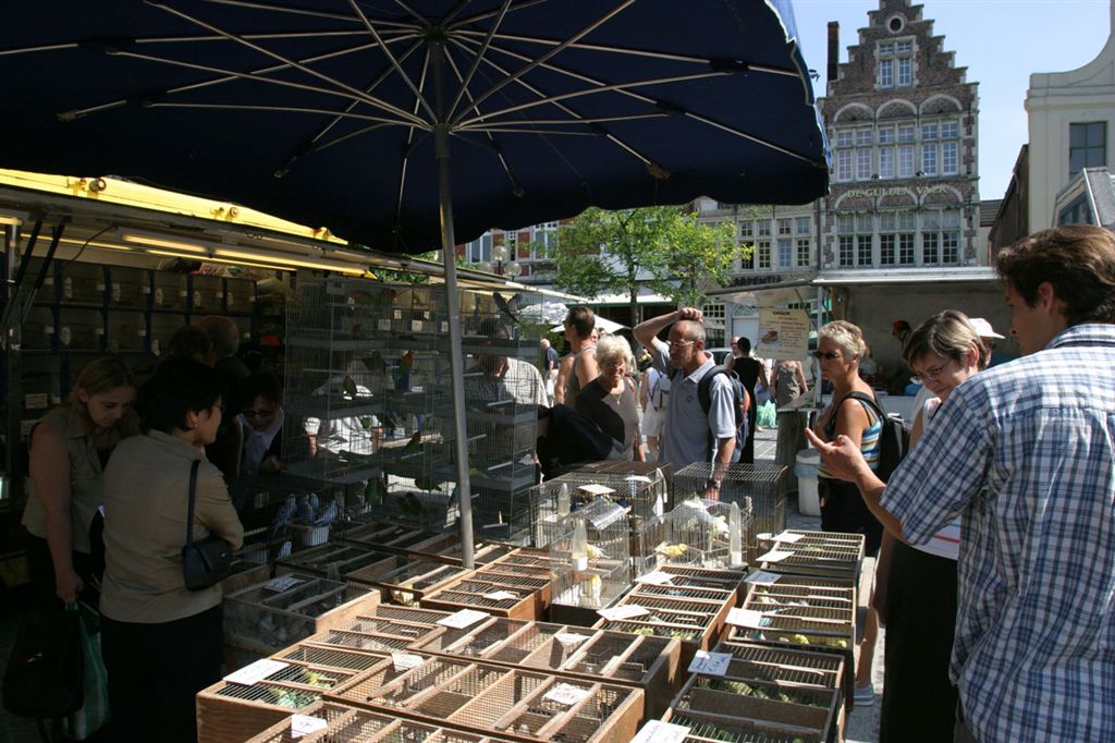 112 DE VRIJDAGMARKT
